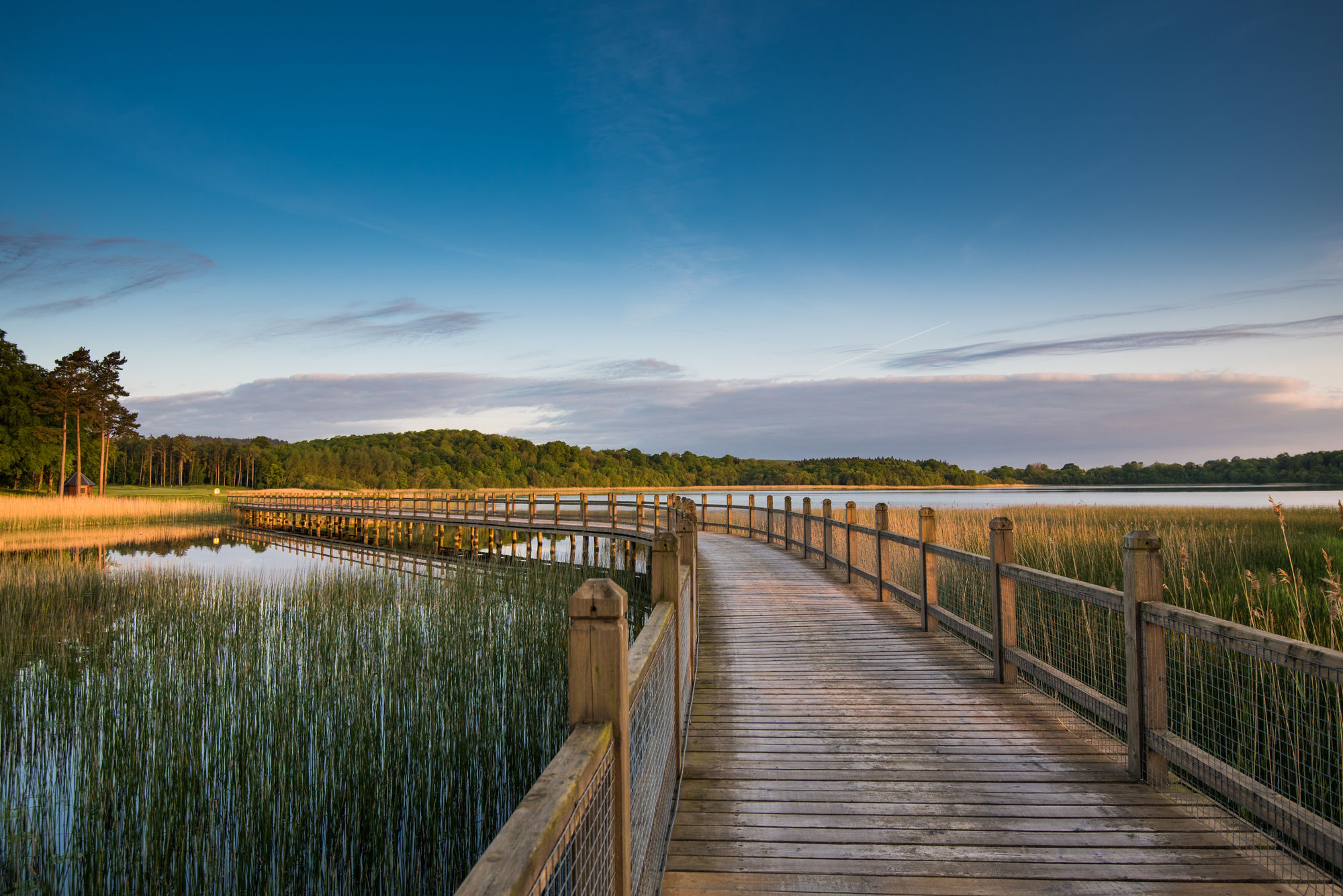 Lough Erne Resort Enniskillen Exterior photo The boardwalk at the reserve